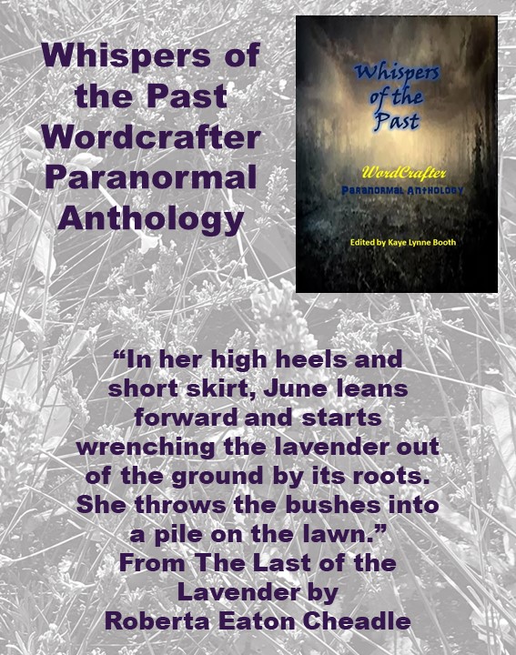 The Last of the Lavender 2