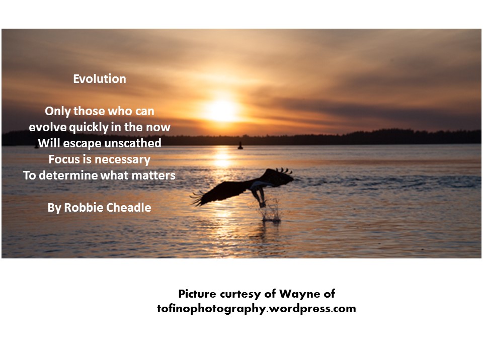 Evolution Two Text Two poems and two pictures