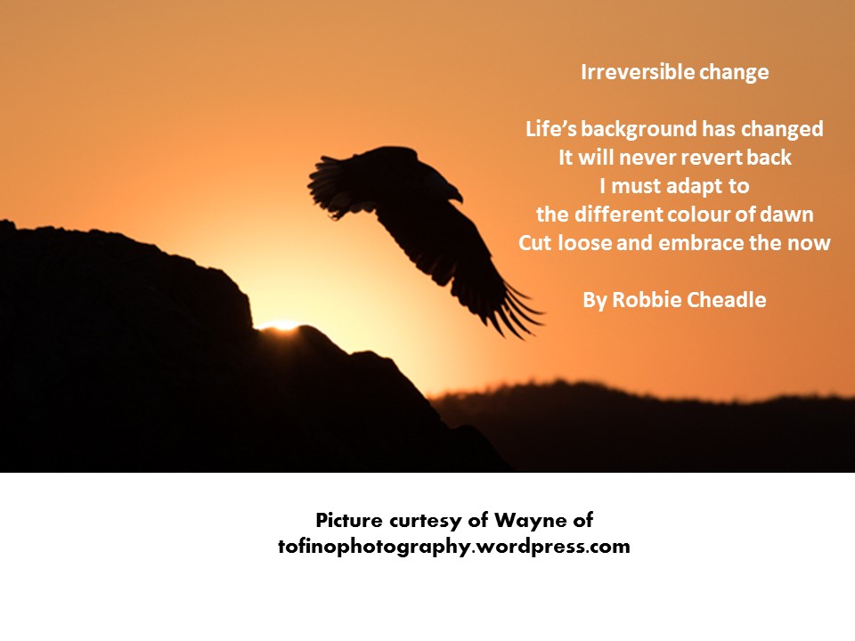 Irreversible change (002)