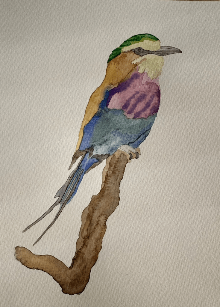 Water colour painting of a lilac-breasted roller on a branch by Robbie Cheadle.