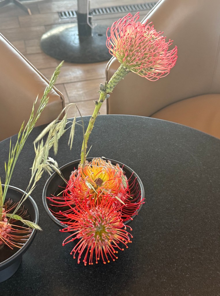 Flower arrangement featuring three pincushion proteas in red, orange, and yellow.